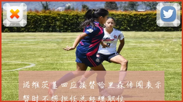 诺维茨基回应接替哈里森传闻表示暂时不想担任总经理职位